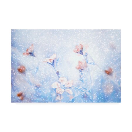 Trademark Fine Art Delphine Devos 'My Winter Garden' Canvas Art, 12x19 1X09397-C1219GG